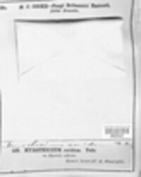 Paramyrothecium roridum image